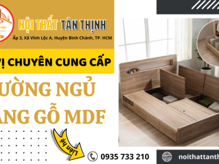 Đơn vị chuyên cung cấp giường ngủ bằng gỗ tại TPHCM