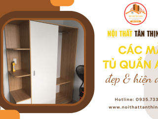 Top mẫu tủ quần áo gỗ đẹp hiện đại nên lắp đặt cho không gian nội thất